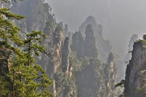 Images Dated 15th September 2013: Hallelujah Mountains China, Wulingyuan District, Landscape and many peaks on display