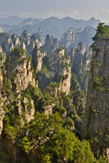 Images Dated 14th September 2013: Hallelujah Mountains China, Wulingyuan District, Landscape and many peaks on display