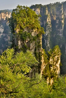 Hallelujah Mountains Prints: Hallelujah Mountains, Wulingyuan District, Landscape and many peaks on display