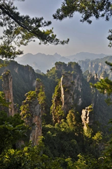 Hallelujah Mountains, Wulingyuan District, Landscape and many peaks on display