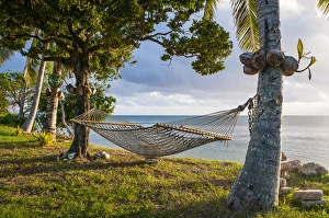 Images Dated 18th June 2012: Hammock on a beach in Haa'apai, Haapai, islands, Tonga, South Pacific
