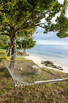 Tonga Prints: Hammock on a beach in Haa'apai, Haapai, islands, Tonga, South Pacific