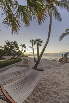 Images Dated 15th February 2018: Hammock at sunrise at The Reach Resort in Key West, Florida, USA