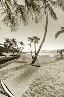 Relaxation Prints: Hammock at sunrise at The Reach Resort in Key West, Florida, USA
