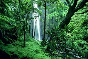 James Kay Prints: Hanakapiai Falls along the Na Pali Coast, Kauai, Hawaii
