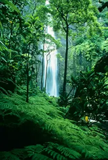 James Kay Prints: Hanakapiai Falls, Napali Coast, Kauai, Hawaii, USA