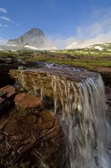 Images Dated 8th July 2007: The Hanging Gardens at Logan Pass in Glacier National Park in Montana