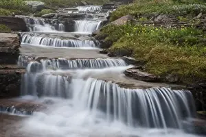 Images Dated 8th July 2007: The Hanging Gardens at Logan Pass in Glacier National Park in Montana