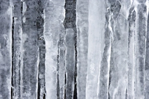 Icicle Prints: Detail of hanging icicles