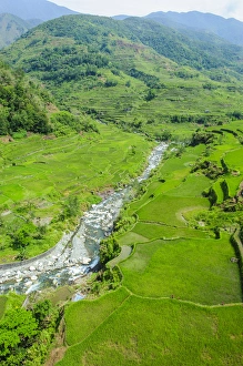 Images Dated 22nd April 2011: Hapao rice terraces part of the world heritage sight Banaue, Luzon, Philippines