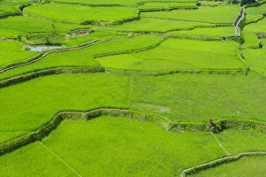 Hapao rice terraces part of the world heritage sight Banaue, Luzon, Philippines