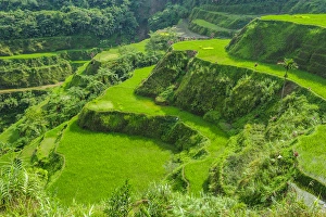 Images Dated 22nd April 2011: Hapao rice terraces part of the world heritage sight Banaue, Luzon, Philippines