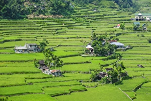 Images Dated 22nd April 2011: Hapao rice terraces part of the world heritage sight Banaue, Luzon, Philippines