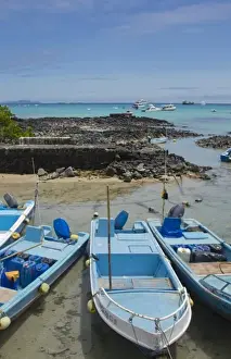 Prints of Harbor with blue water and boats and sun Santa Cruz Galapagos Islands Ecuador South America Galapagos Images Dated 2027 November: Harbor with blue water and boats and sun Santa Cruz Galapagos Islands Ecuador South