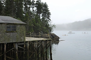 Keith And Rebecca Snell Prints: Harbor at Cutler, Maine, United States of America