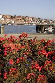 Images Dated 20th July 2020: Harbor with fishing boats in the Harbor of beautiful tourist town of Whitby England
