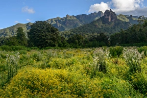 Ethiopia Collection: The Harenna Escarpment. Bale Mountains National Park. Ethiopia