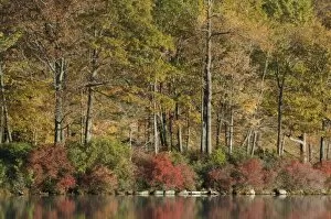 Images Dated 26th October 2006: Harriman State Park, New York, USA. Autumn reflections across lake Tiorati