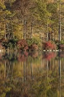 Images Dated 26th October 2006: Harriman State Park, New York, USA. Autumn reflections across lake Tiorati