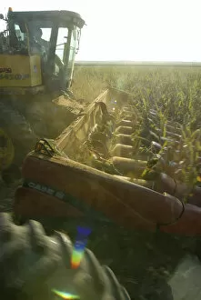 Images Dated 7th September 2006: Harvesting corn in Nebraska