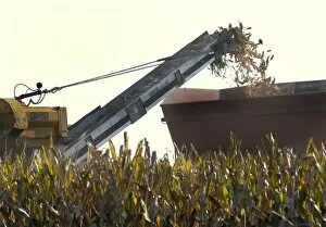 Images Dated 7th September 2006: Harvesting corn in Nebraska