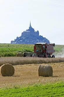 Harvesting wheat with Le Mont Saint Michel in the background in the region of Basse-Normandie
