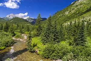 Images Dated 27th July 2012: Harvey Creek and Mount Doupe near Fernie, British Columbia, Canada