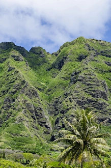 Hawaii Prints: Hau ula Forest Reserve, Koolau Mountain Rage, Oahu, Hawaii