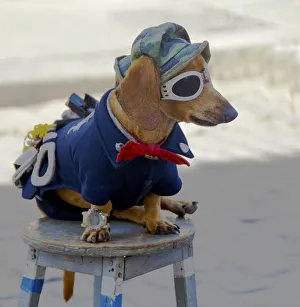 Costume Prints: Havana, Habana, Cuba, dog, entertainment, costume, funny, old Havana, cuban, colorful