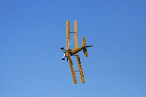 Plane Prints: De Havilland DH 82A Tiger Moth Biplane