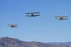 Plane Prints: De Havilland DH 82A Tiger Moth Biplanes, Warbirds over Wanaka, Wanaka, Otago, South Island