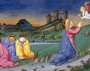 Asleep Prints: After having prayed in the Garden of Gethsemane, an angel from heaven comes to comfort