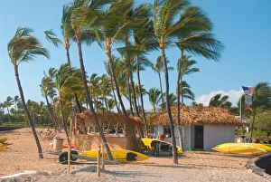 Hawaii, Big Island, Kohala Coast. Anaeho omalu Beach. Palm trees and kayaks