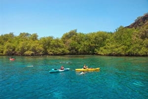 Kayak Prints: Hawaii, Big Island, Kona, Kealakekua Bay, Captain Cook Monument. Kayakers