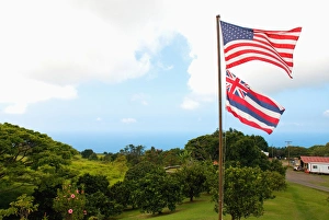 Coffee Prints: Hawaii, Big Island, South Kona, Captain Cook. Greenwell Kona Coffee Farm plantation