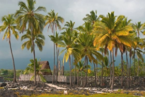 Images Dated 5th September 2011: Hawaii, Big Island, South Kona, Pu uhonua o Honaunau National Historical Park