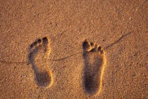 Relax Prints: Hawaii, Kauai. Footprints in the sand on a Hawaii beach