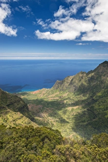 Na Pali Prints: Hawaii, Kauai, Kokee State Park, View of the Kalalau Valley from Pu u o Kila Lookout