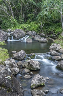 Images Dated 18th March 2015: Hawaii, Kauai, Limahuli Garden and Preserve