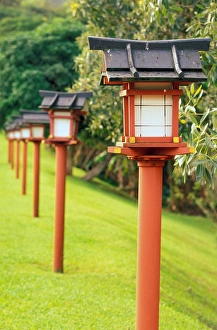 Formal Garden Prints: Hawaii Lights