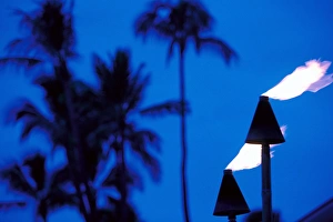 Tool Prints: Hawaii Torches and palm trees