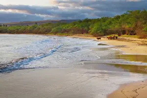 Hawaii, USA. Images along the open coastal region of Waimea and the western side of Kauai