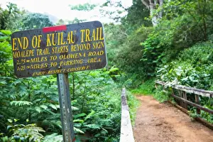 Hawaii, USA. The Kuilau and Moalepe trail begin near Wailuas Keahua Arboretum