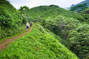 Micah Wright Prints: Hawaii, USA. The Kuilau and Moalepe trail begin near Wailuas Keahua Arboretum