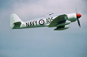 Marking Prints: Hawker Sea Fury at the CAF, Minnesota Wing, Air Show