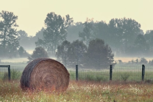 Images Dated 28th January 2024: Hay bale in rural farm field, Oldham County, Kentucky