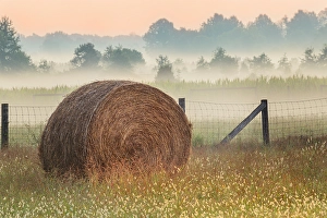 Images Dated 28th January 2024: Hay bale in rural farm field, Oldham County, Kentucky