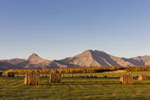 Hay bales and aspen groves in autumn along the Front Range of the Rocky Mountains