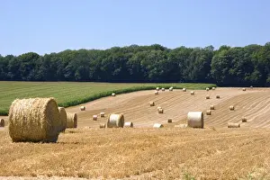 Bale Prints: Hay bales in the french countryside near Vervins in the region of Picardie, France