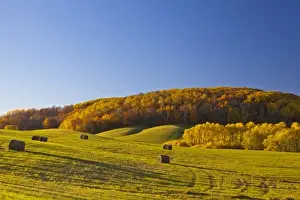 Forage Prints: Hay bales in rolling hills in Maplewood State Park near Pelican Rapids, Minnesota, USA